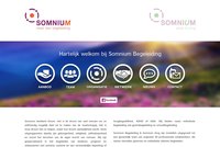 Somnium Begeleiding